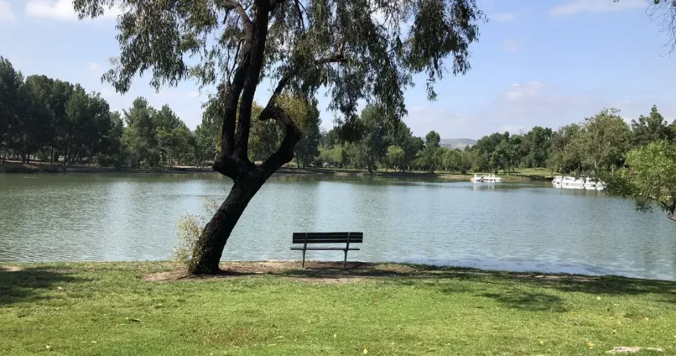 Las 10 mejores cosas gratuitas para hacer en Anaheim