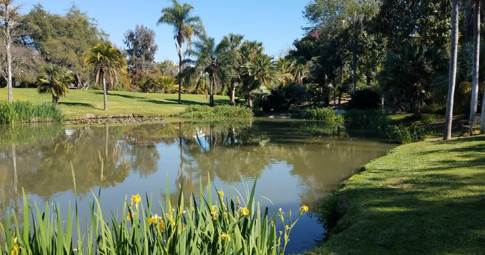 Las 10 mejores cosas gratuitas para hacer en Anaheim